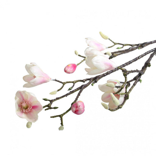 Artificial Magnolia Branch Blush Pink Flower Stems - Lost Land Interiors