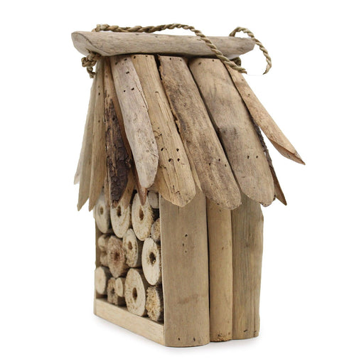 Driftwood Bee & Insect Box - Lost Land Interiors