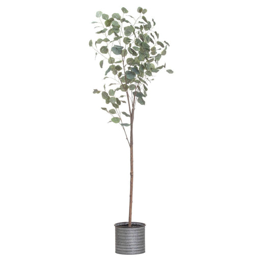 Large Eucalyptus Tree In Metallic Pot - Lost Land Interiors