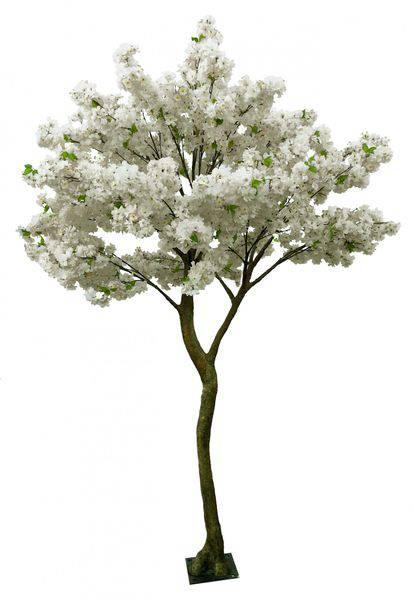 Artificial Cream Blossom Tree (2.7m) - Lost Land Interiors