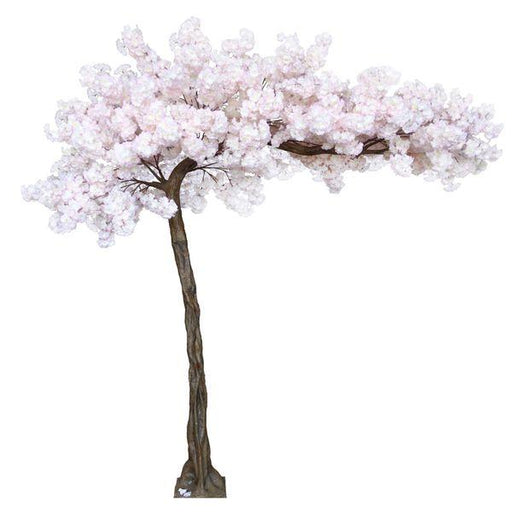 Cream Blossom Tree (3.2m) - Lost Land Interiors