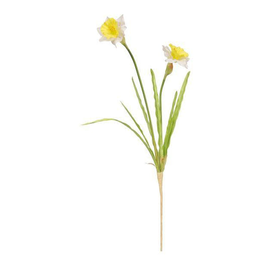 Artificial Monet Daffodil Yellow/White 58cm - Lost Land Interiors