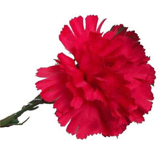 Red Single Carnations (12 Stems) - Lost Land Interiors