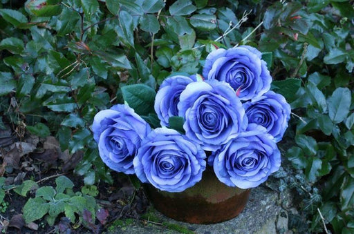 Rose Bunch Blue - Lost Land Interiors