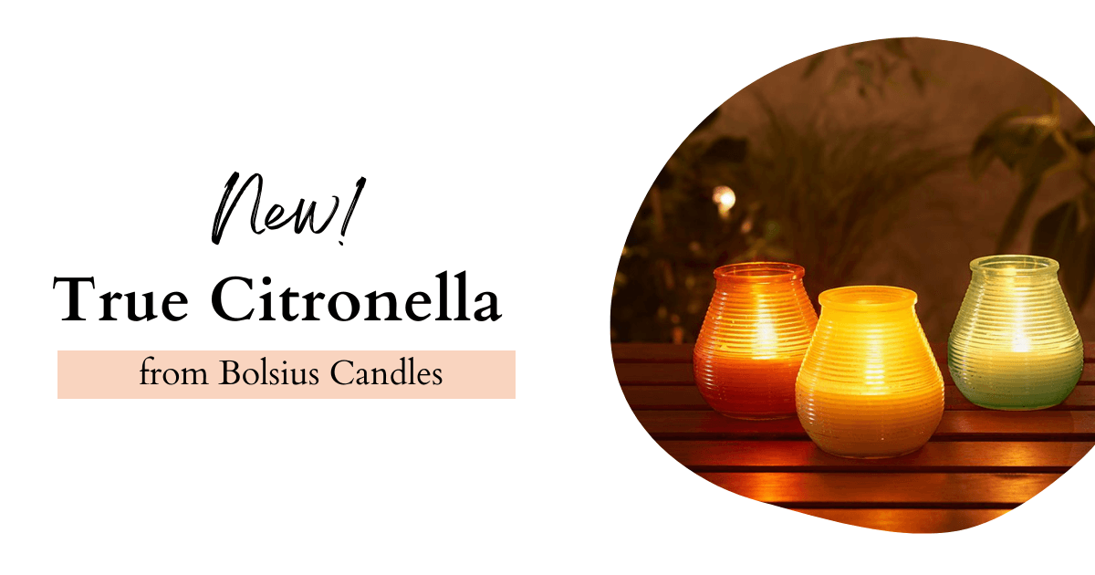 Embrace the Serenity: Citronella Bolsius Candles Illuminate Your Outdoor Oasis - Lost Land Interiors