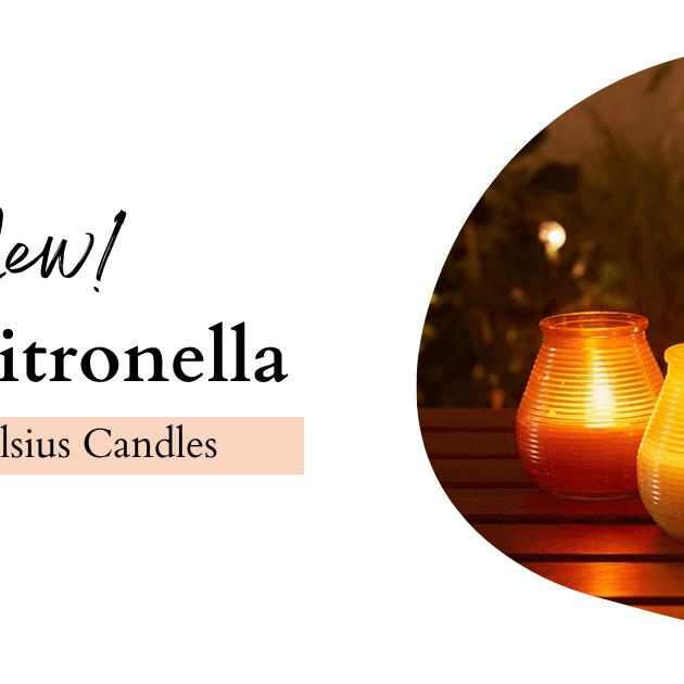 Embrace the Serenity: Citronella Bolsius Candles Illuminate Your Outdoor Oasis - Lost Land Interiors