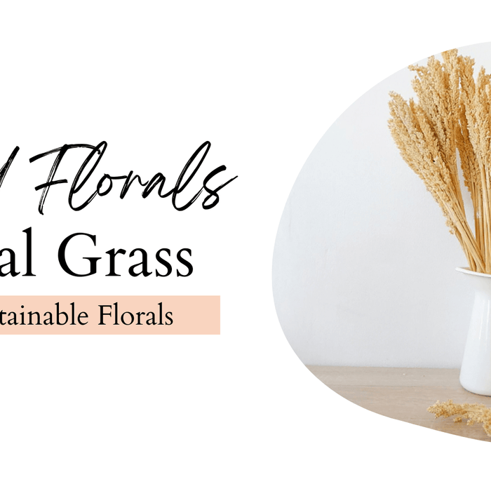 Introducing Lost Land Interiors' Sustainable and Vibrant Cantal Grass Bunches - Lost Land Interiors