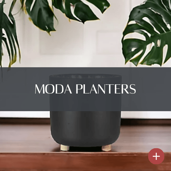 Moda Black Indoor Planters - Lost Land Interiors