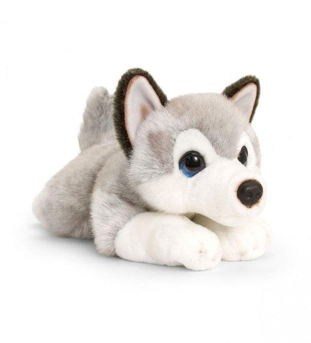 37cm Cuddle Husky Plush Toys Cute Stuffed Animals Gift - Lost Land Interiors