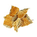 Gold Velvet Poinsettia with Glitter Edge (D24cm) - Lost Land Interiors