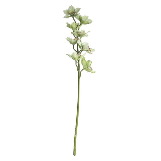 36inch Real Touch Large Cymbidium Green - Lost Land Interiors