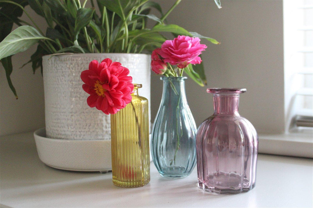 Set of Three Colour Glass Vases Bottles Wedding and Event Decor - Lost Land Interiors
