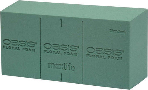 Oasis Ideal Floral Foam - Single Brick Floral Arranging Single Foam Block - Lost Land Interiors