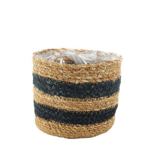 Stylish Natural & Black Striped Seagrass Basket (13 x 15cm) Indoor Planter With Liner - Lost Land Interiors