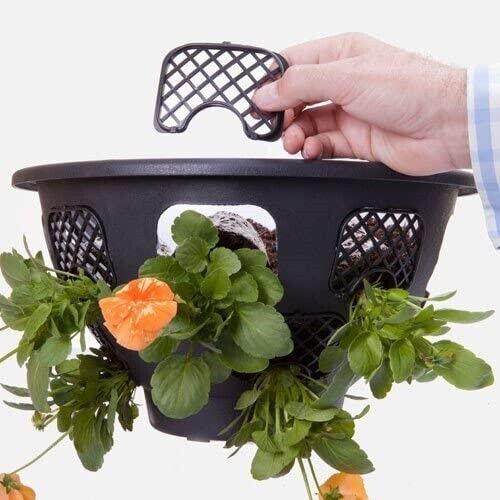 Easy Fill Hanging Basket (12 Inch - 30cm) Outdoor Planter - Lost Land Interiors
