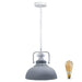 Industrial vintage Metal Retro Barn slotted various colours Indoor Pendant Ceiling Light Fixture~4056 - Lost Land Interiors