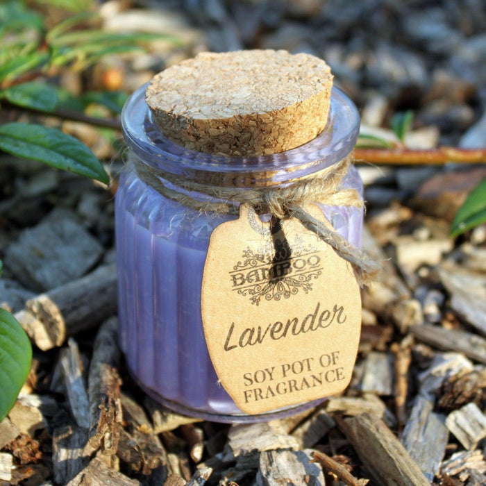 Lavender Soy Pot of Fragrance Candles - Lost Land Interiors