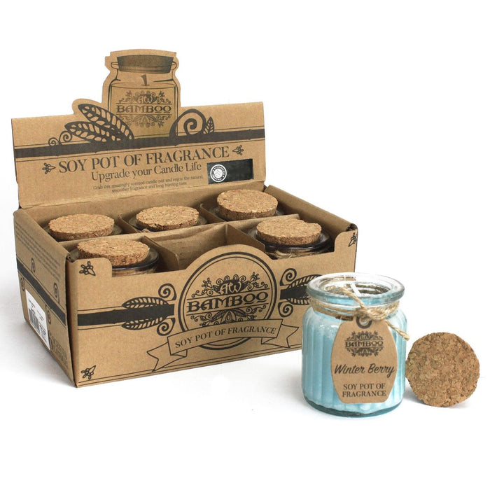 Winter Berry Soy Pot of Fragrance Candles - Lost Land Interiors