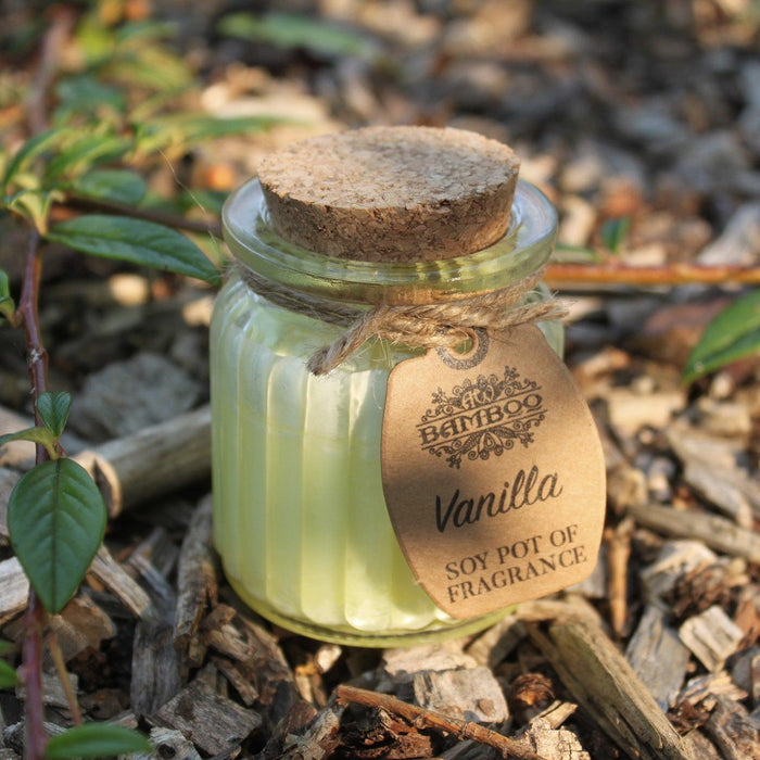 Vanilla Soy Pot of Fragrance Candles - Lost Land Interiors