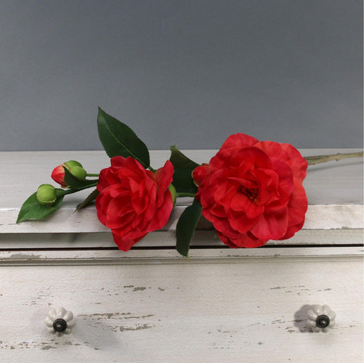 Tintagel Camelia Red - Lost Land Interiors