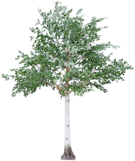 Artificial Silver Birch Tree Green (3.3m) - Lost Land Interiors