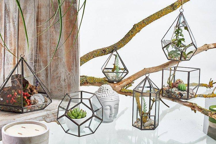 Glass Terrarium - Large Octagon - Lost Land Interiors