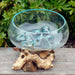Open Bowl  Glass and teak Terrarium vase  - Hand blown recycled glass and sustainable teak - Lost Land Interiors