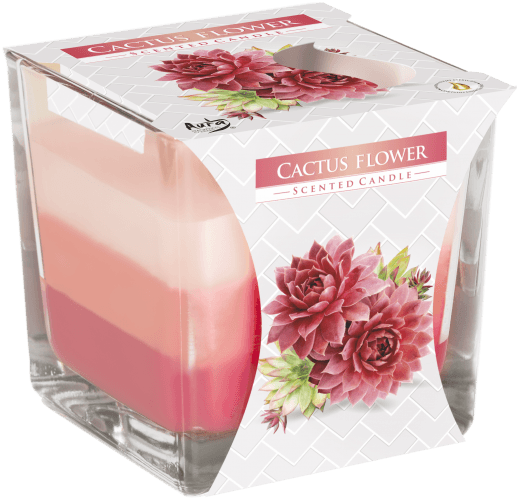 Rainbow Jar Candle - Cactus flower - Lost Land Interiors