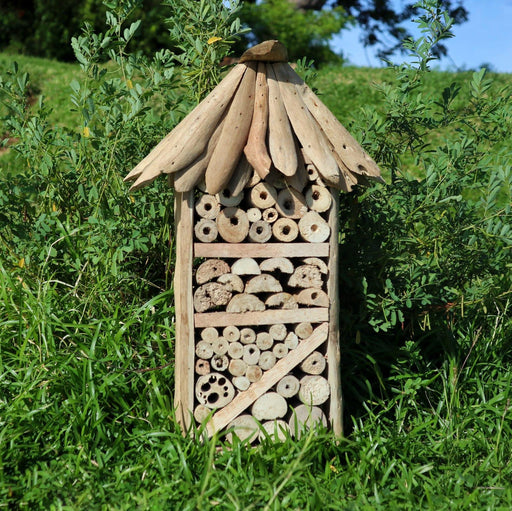 Driftwood Bee & Insect Highrise Box - Lost Land Interiors