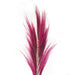 Rayung Grass Pink- 1.6m - Lost Land Interiors