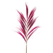 Rayung Grass Pink- 1.6m - Lost Land Interiors
