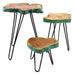 Set of 3 Gamal Wood Plant Stands - Greenwash - Lost Land Interiors