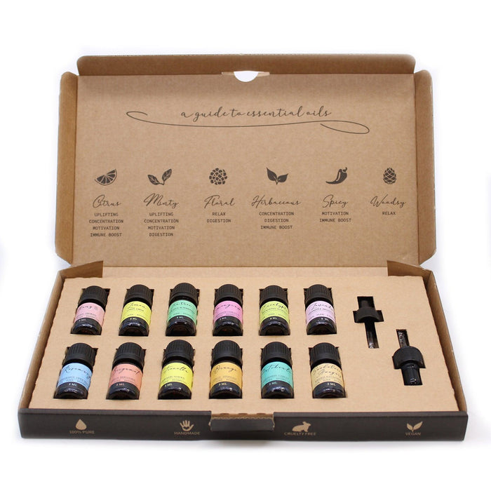 Aromatherapy Essential Oil Set - The Top 12 - Lost Land Interiors