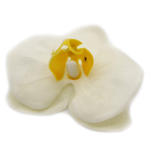 10 x Craft Soap Flower - Paeonia - Cream - Lost Land Interiors