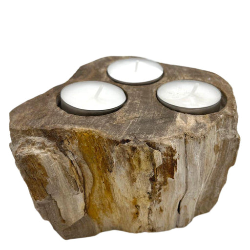 Petrified Wood Candle Holder - Triple Tealight Holders - Lost Land Interiors