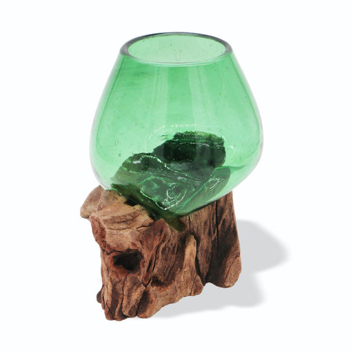 Recycled Beer Bottles - Small Bowl on Wood - Green Glass Vase - Lost Land Interiors