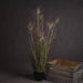 Water Bamboo Grass 48 Inch Artificial Potted Grass - Lost Land Interiors