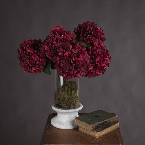 Autumn Ruby Hydrangea - Lost Land Interiors