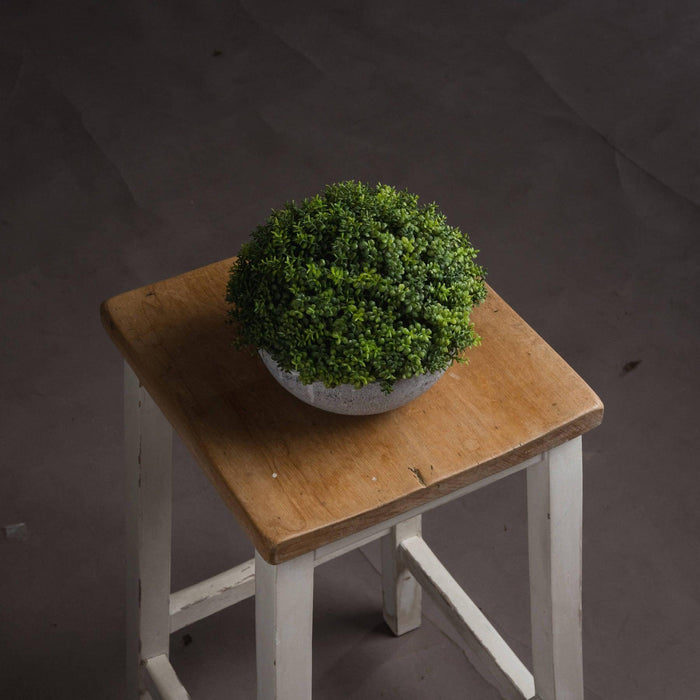 Small Hebe Globe Pot - Artificial Green Plant - Lost Land Interiors
