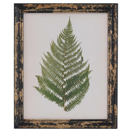 Rustic Framed Botanical Fern Picture - Lost Land Interiors