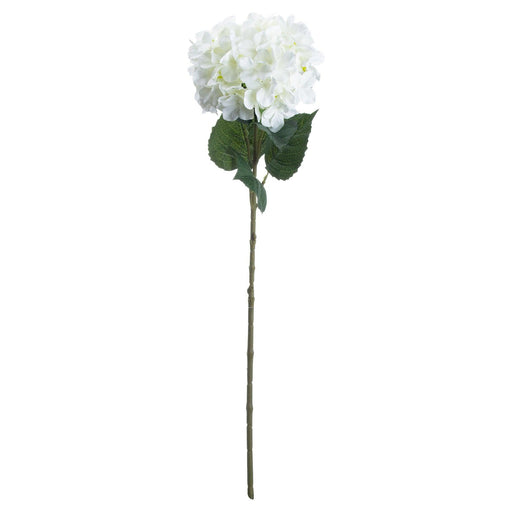 Single White Hydrangea - Lost Land Interiors