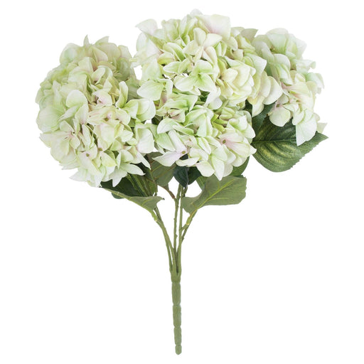 Shabby Green Hydrangea Bouquet - Lost Land Interiors