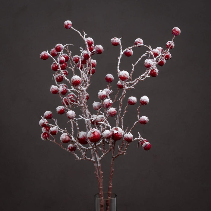 Large Red Festive Berry - Lost Land Interiors