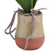 Orchid In Terracotta Glazed Pot - Lost Land Interiors