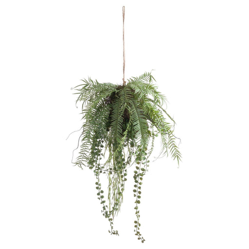 Fern Hanging Basket Arrangement - Lost Land Interiors