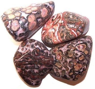 24 x Large Tumble Stones - Leopard Skin - Lost Land Interiors