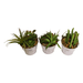 Set of 3 Faux Succulents In Tin Buckets - Lost Land Interiors