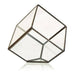 Glass Terrarium - Cube on Corner - Lost Land Interiors