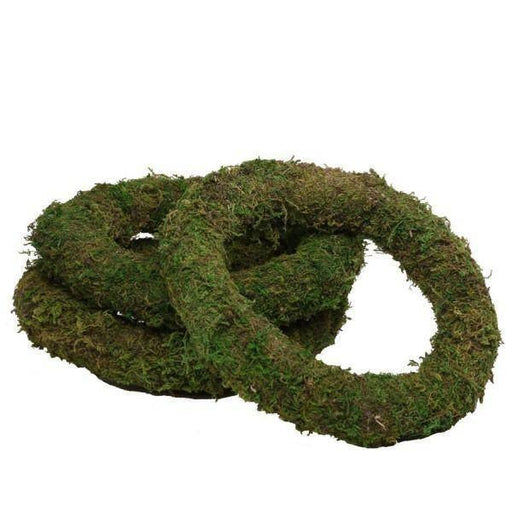8 Inch Moss Wreath Ring - Lost Land Interiors