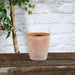 Rustic Ceramic Flowerpot 13.5cm - Lost Land Interiors